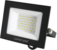 Прожектор LuminArte LFL-50W/06 - 