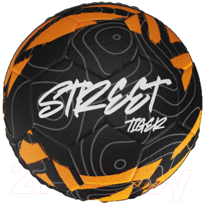 Футбольный мяч Atemi Tiger Street (размер 5)