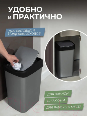Изображение товара Мусорное ведро Violet Tandem / 842058 (20л, серый металлик/черный)