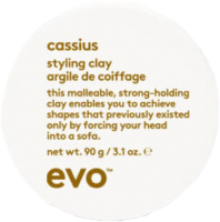 Глина для укладки волос Evo Cassius Styling Clay Конструирующая (90г) - 