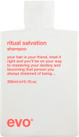 Шампунь для волос Evo Ritual Salvation Repairing Shampoo Для окрашенных волос (300мл) - 