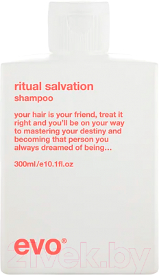 Шампунь для волос EVO Labs Ritual Salvation Repairing Shampoo Для окрашенных волос (300мл)
