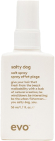 Спрей для укладки волос Evo Salty Dog Spray Текстурирующий (50мл) - 