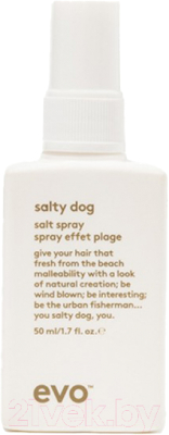 Спрей для укладки волос Evo Salty Dog Spray Текстурирующий (50мл)