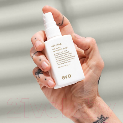 Спрей для укладки волос Evo Salty Dog Spray Текстурирующий (50мл)