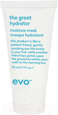 Маска для волос EVO Labs The Great Hydrator Moisture Для интенсивного увлажнения (30мл)