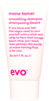 Шампунь для волос Evo Mane Tamer Smoothing Shampoo Разглаживающий (30мл) - 