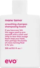 Шампунь для волос Evo Mane Tamer Smoothing Shampoo Разглаживающий