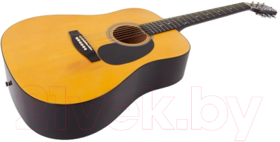 Акустическая гитара Aria Fiesta FST-300 N