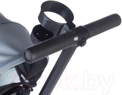Трехколесный велосипед с ручкой Babyhit Kidway XT / BT200 (Grey)