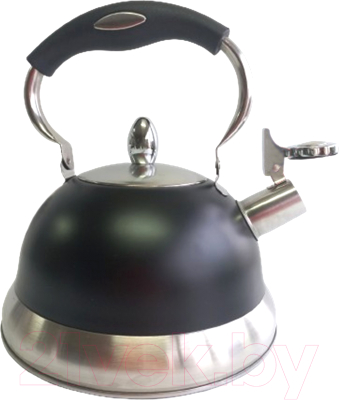 Чайник со свистком ЦУМ 1947 MJ-67MС