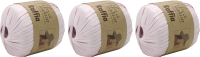 Набор пряжи для вязания Fibra Natura Raffia 100% целлюлоза вискозная 90м / 116-17 (3шт, розовый) - 