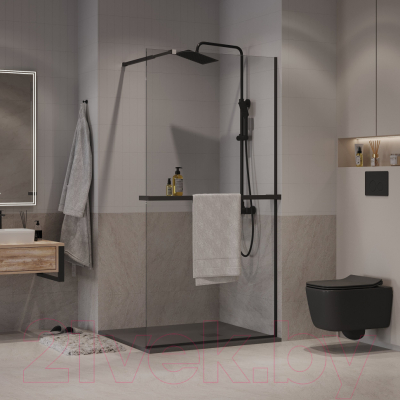 Купить Душевая стенка Niagara NG-670-12ВLACK 120x195 в Борисове