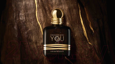 Парфюмерная вода Giorgio Armani Stronger With You Oud (100мл)