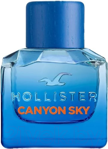 Туалетная вода Hollister Canyon Sky