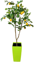 Искусственное растение ForGarden Lemon Tree в салатовом горшке / BN10891 - 