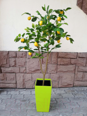 Искусственное растение ForGarden Lemon Tree в салатовом горшке / BN10891