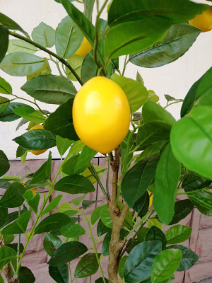 Искусственное растение ForGarden Lemon Tree в салатовом горшке / BN10891