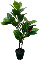 Искусственное растение ForGarden Ficus Робуста / BN10819 - 