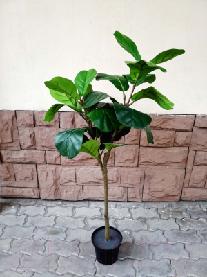 Искусственное растение ForGarden Ficus Лирата / BN10870