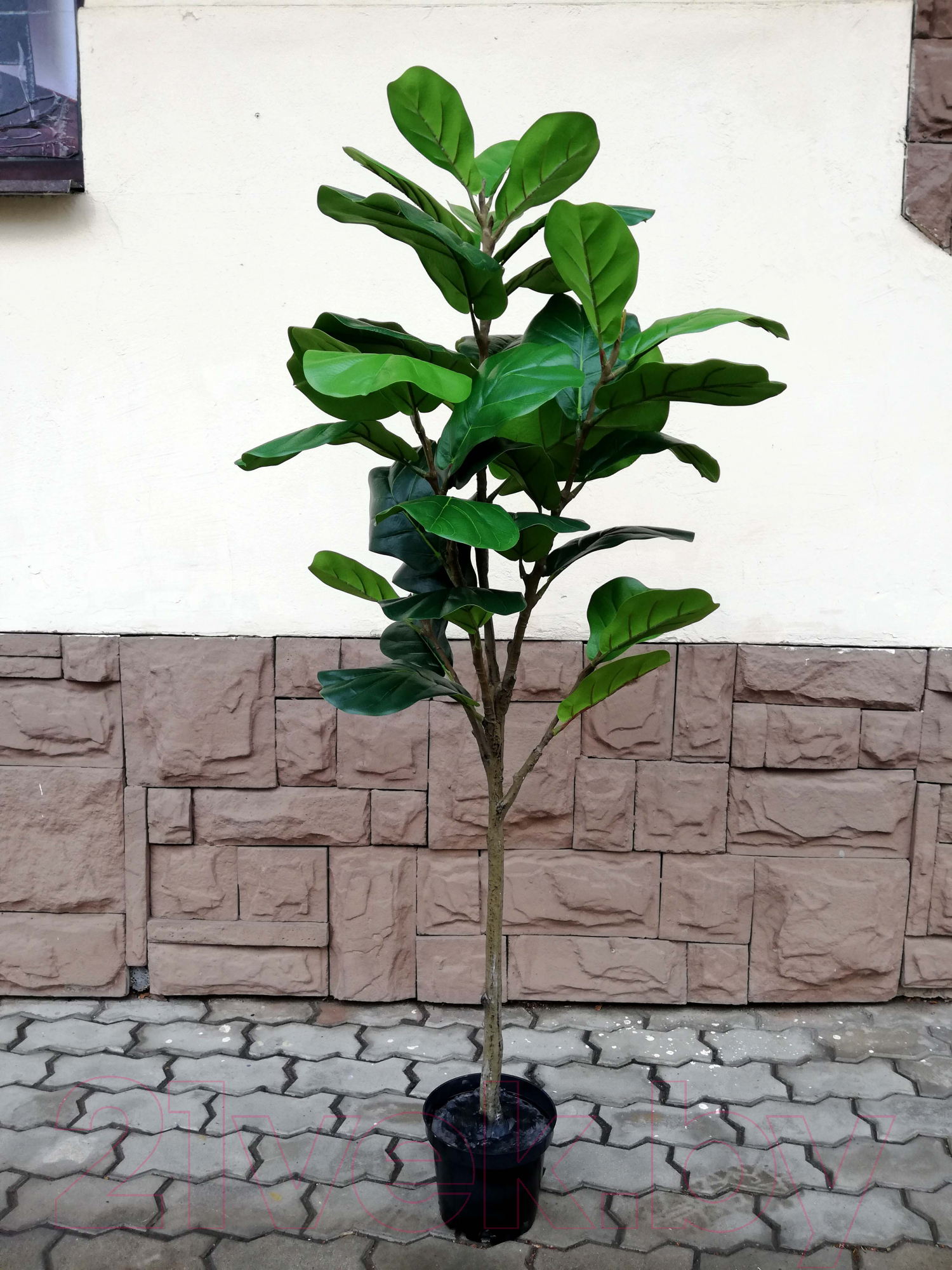 Искусственное растение ForGarden Ficus Лирата / BN10796