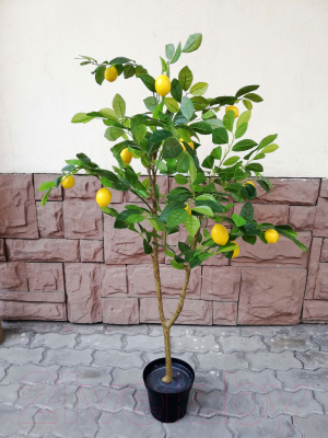 Искусственное растение ForGarden Lemon Tree / BN10867