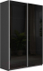 Шкаф-купе ТриЯ Траст СШК 2.140.70-15.15 2-х дверный (серый диамант/стекло черный глянец/стекло черный) - 
