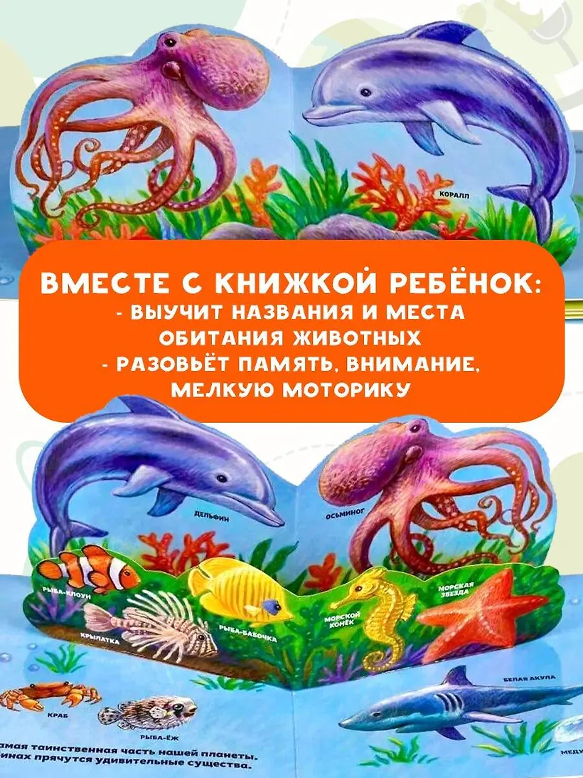 Книжка-панорамка АСТ В зоопарке, твердая обложка (Павлова Ксения) — фото 2