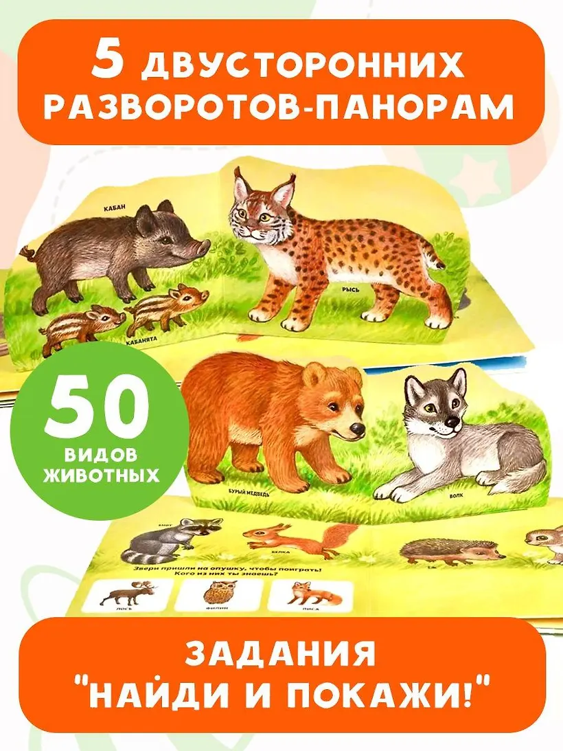 Книжка-панорамка АСТ В зоопарке, твердая обложка (Павлова Ксения) — фото 4