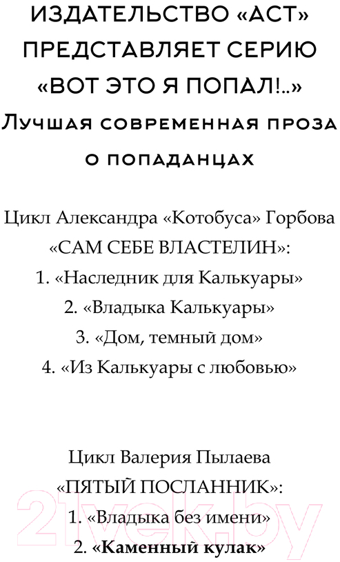 Художественная книга АСТ Пятый посланник. Каменный кулак / 9785171608903 (Пылаев В.) — фото 3