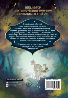 Книга АСТ Кот по кличке Тринадцатый / 9785171603250 (Мальорки С.)