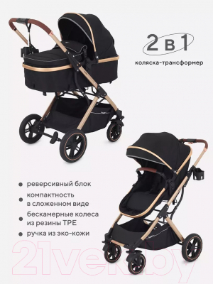 Детская универсальная коляска Rant Basic Pulsar Gold 2 в 1 / RA160  (Black)