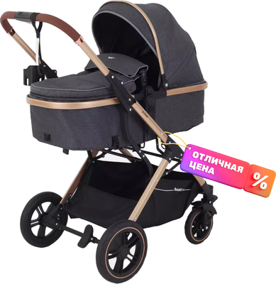 

Детская универсальная коляска, Basic Pulsar Gold 2 в 1 / RA160