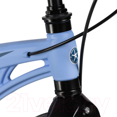 Детский велосипед Maxiscoo Cosmic Deluxe 18 2024 / MSC-C1833D (небесно-голубой)