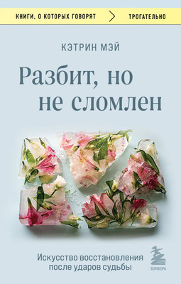

Книга, Разбит, но не сломлен, мягкая обложка