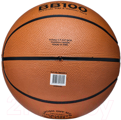 Баскетбольный мяч Atemi BB100N (размер 5)