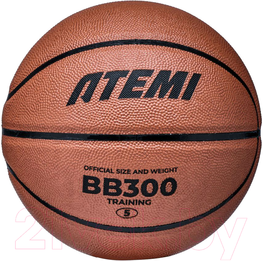 Баскетбольный мяч Atemi BB300N
