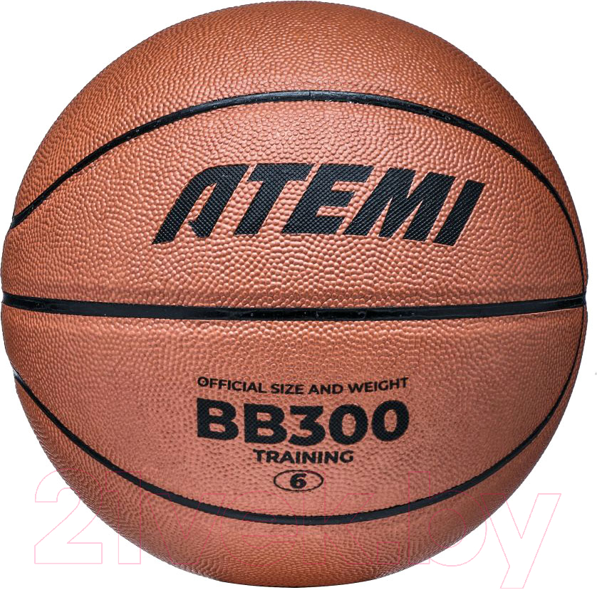 Баскетбольный мяч Atemi BB300N