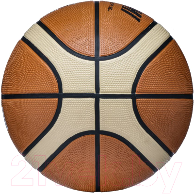 Баскетбольный мяч Atemi BB200N (размер 5)