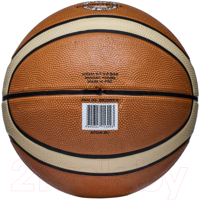 Баскетбольный мяч Atemi BB200N (размер 5)