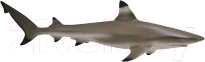 Фигурка коллекционная Collecta Рифовая акула / 88726b 