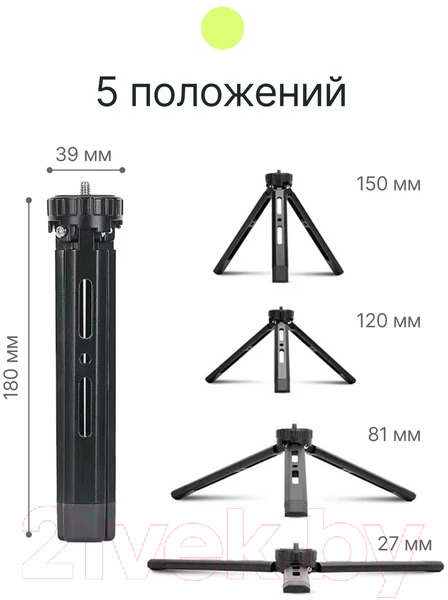 Штатив RayLab MT-TM