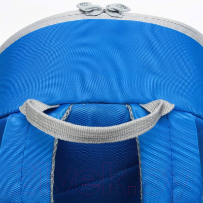 Школьный рюкзак Grizzly RO-471-1 (синий)