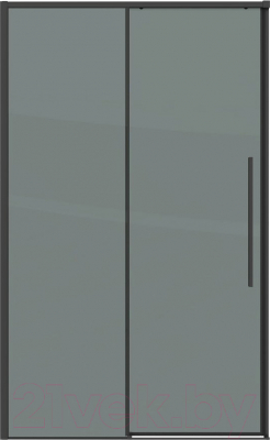 Душевая дверь Grossman Galaxy 100.K33.01.120.21.10 120x195 (черный матовый/стекло тонированное)
