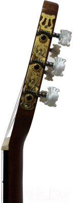 Акустическая гитара Sevillia IC-100 NA