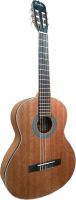 Акустическая гитара Sevillia IC-100M NS - 