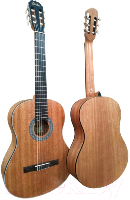 Акустическая гитара Sevillia IC-100M NS