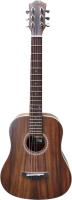 Акустическая гитара Sevillia IW-34R TNS - 