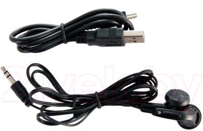 MP3-плеер Ritmix RF-4550 (4Gb, синий) - аудиокабель и USB-кабель