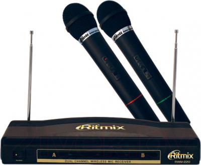 Микрофон Ritmix RWM-220 - общий вид